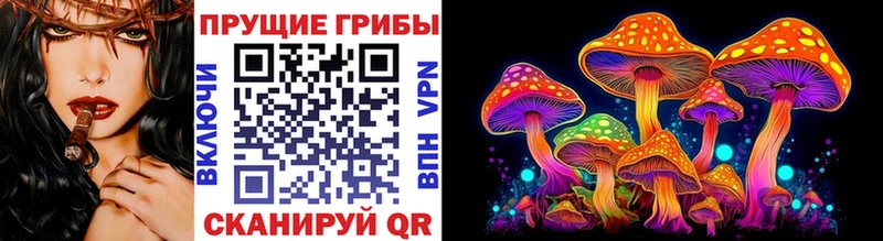 Галлюциногенные грибы Psilocybine cubensis  Томари 